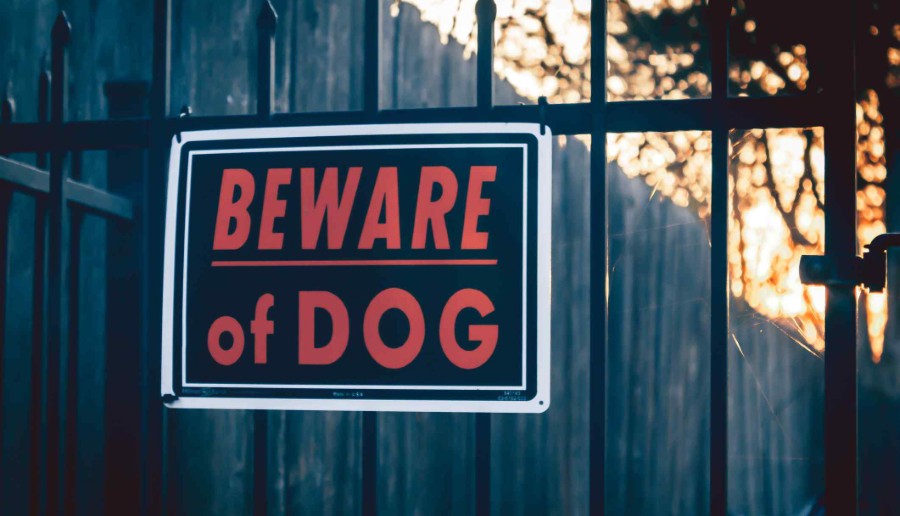 How Is Liability Determined in a Dog Bite Case in Spokane?